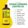 image:imagePure Cold Pressed Castor Oil  Big 32 fl oz Bottle  Unrefined amp Hexane Free  100 Pure Castor Oil for Hair Growth Thicker Eyelashes amp Eyebrows Dry Skin Healing Hair Care Joint and Muscle PainCastor