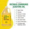 image:imagePure Cold Pressed Castor Oil  Big 32 fl oz Bottle  Unrefined amp Hexane Free  100 Pure Castor Oil for Hair Growth Thicker Eyelashes amp Eyebrows Dry Skin Healing Hair Care Joint and Muscle PainCastor