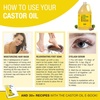 image:imagePure Cold Pressed Castor Oil  Big 32 fl oz Bottle  Unrefined amp Hexane Free  100 Pure Castor Oil for Hair Growth Thicker Eyelashes amp Eyebrows Dry Skin Healing Hair Care Joint and Muscle PainCastor