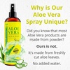 image:imageSeven Minerals Aloe Vera Spray for Body amp Hair  From Freshly Cut Organic Aloe 99 Extra Strong Easy to Apply No Thickeners So It Absorbs Rapidly No Sticky Residue  Made in USA 12 fl oz12 Fl Oz Pack of 1