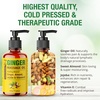image:imageSeven Minerals Arnica Sore Muscle Massage Oil for Massage Therapy  4 oz  Ideal for Professional or atHome Body MassageGinger